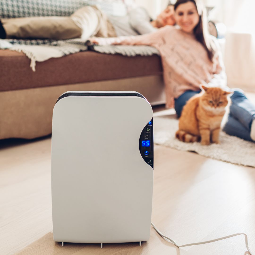 a dehumidifier in a living room